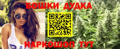 альфа пвп Заводоуковск